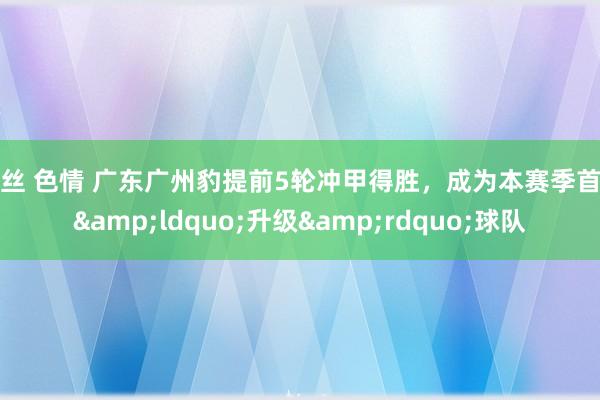 黑丝 色情 广东广州豹提前5轮冲甲得胜，成为本赛季首支&ldquo;升级&rdquo;球队