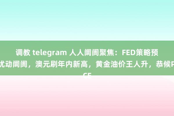 调教 telegram 人人阛阓聚焦：FED策略预期扰动阛阓，澳元刷年内新高，黄金油价王人升，恭候PCE