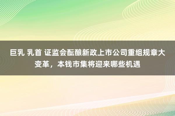 巨乳 乳首 证监会酝酿新政上市公司重组规章大变革，本钱市集将迎来哪些机遇