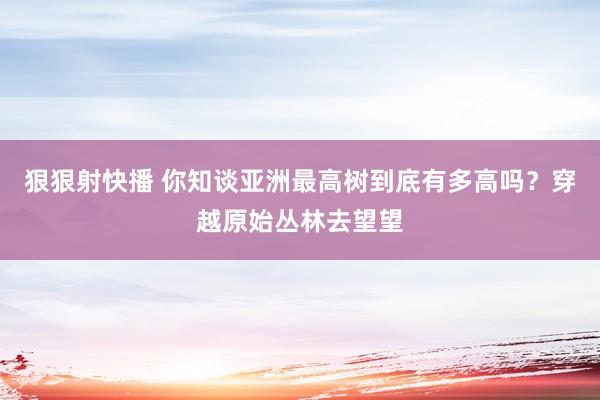 狠狠射快播 你知谈亚洲最高树到底有多高吗？穿越原始丛林去望望