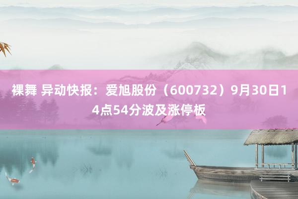 裸舞 异动快报：爱旭股份（600732）9月30日14点54分波及涨停板