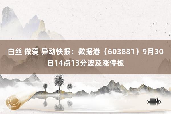 白丝 做爱 异动快报：数据港（603881）9月30日14点13分波及涨停板