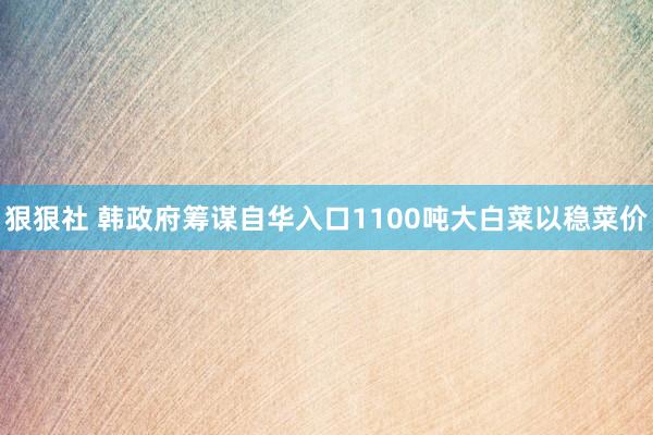 狠狠社 韩政府筹谋自华入口1100吨大白菜以稳菜价