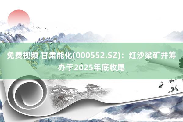 免费视频 甘肃能化(000552.SZ)：红沙梁矿井筹办于2025年底收尾