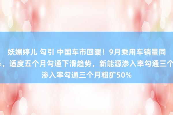 妖媚婷儿 勾引 中国车市回暖！9月乘用车销量同比加多4.5%，适度五个月勾通下滑趋势，新能源渗入率勾通三个月粗犷50%