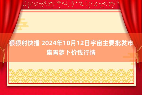 狠狠射快播 2024年10月12日宇宙主要批发市集青萝卜价钱行情