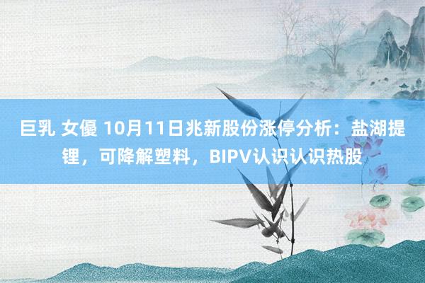 巨乳 女優 10月11日兆新股份涨停分析：盐湖提锂，可降解塑料，BIPV认识认识热股