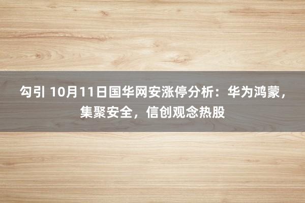 勾引 10月11日国华网安涨停分析：华为鸿蒙，集聚安全，信创观念热股