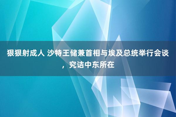 狠狠射成人 沙特王储兼首相与埃及总统举行会谈，究诘中东所在