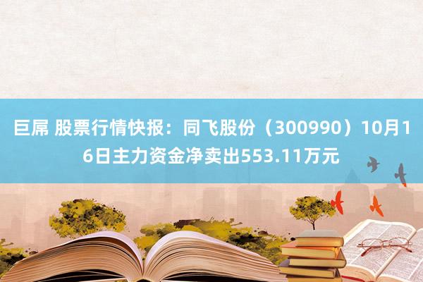 巨屌 股票行情快报：同飞股份（300990）10月16日主力资金净卖出553.11万元