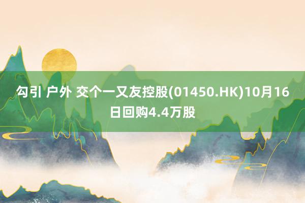 勾引 户外 交个一又友控股(01450.HK)10月16日回购4.4万股