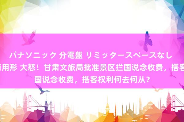 パナソニック 分電盤 リミッタースペースなし 露出・半埋込両用形 大怒！甘肃文旅局批准景区拦国说念收费，搭客权利何去何从？