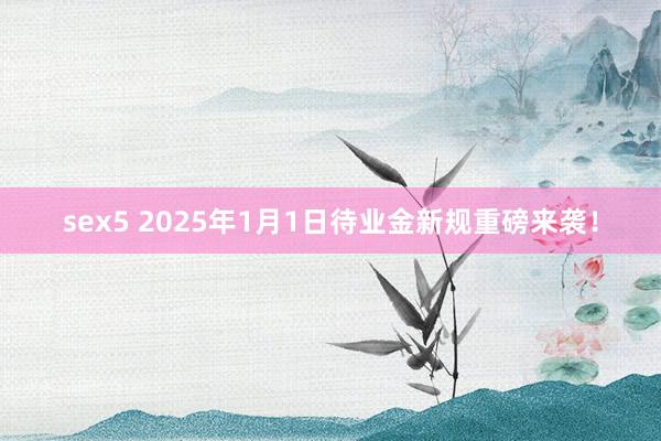 sex5 2025年1月1日待业金新规重磅来袭！