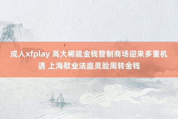 成人xfplay 高大稀疏金钱管制商场迎来多重机遇 上海歇业法庭灵验周转金钱