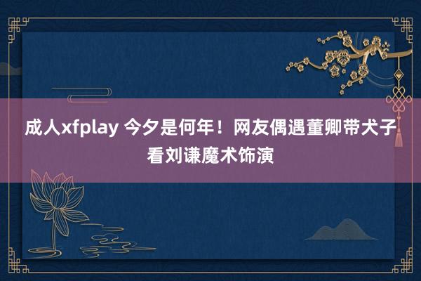 成人xfplay 今夕是何年！网友偶遇董卿带犬子看刘谦魔术饰演