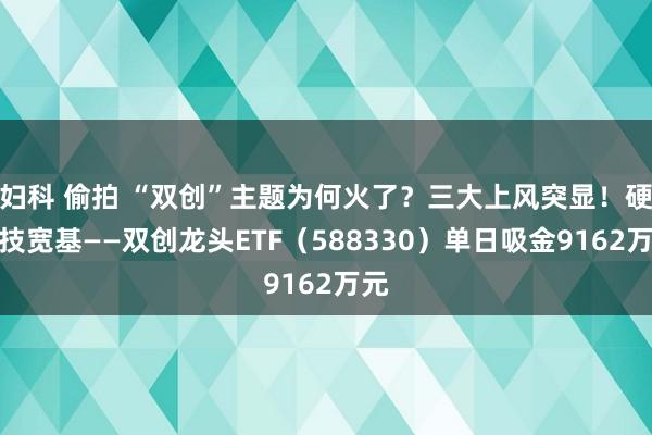 妇科 偷拍 “双创”主题为何火了？三大上风突显！硬科技宽基——双创龙头ETF（588330）单日吸金9162万元