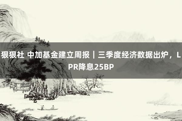 狠狠社 中加基金建立周报｜三季度经济数据出炉，LPR降息25BP