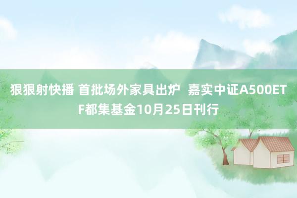 狠狠射快播 首批场外家具出炉  嘉实中证A500ETF都集基金10月25日刊行