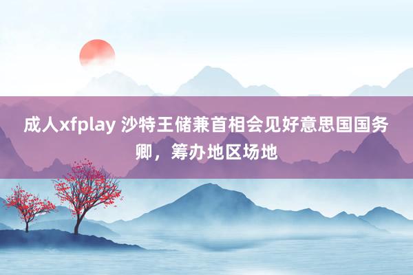 成人xfplay 沙特王储兼首相会见好意思国国务卿，筹办地区场地