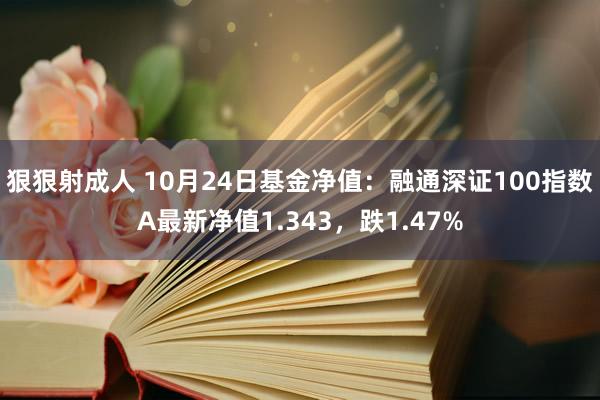 狠狠射成人 10月24日基金净值：融通深证100指数A最新净值1.343，跌1.47%