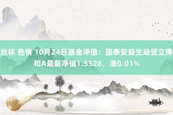 丝袜 色情 10月24日基金净值：国泰安益生动竖立搀和A最新净值1.3528，涨0.01%