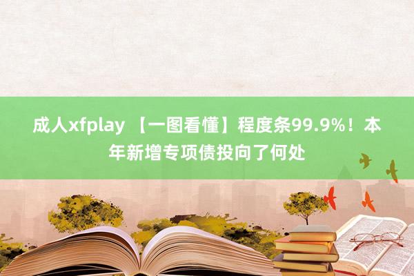 成人xfplay 【一图看懂】程度条99.9%！本年新增专项债投向了何处