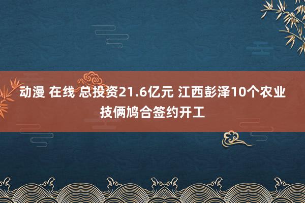 动漫 在线 总投资21.6亿元 江西彭泽10个农业技俩鸠合签约开工