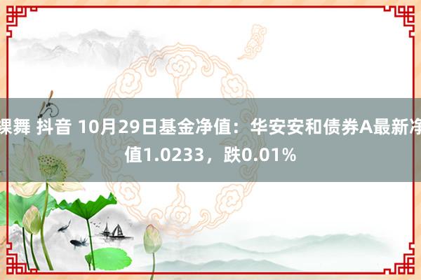 裸舞 抖音 10月29日基金净值：华安安和债券A最新净值1.0233，跌0.01%