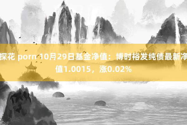 探花 porn 10月29日基金净值：博时裕发纯债最新净值1.0015，涨0.02%