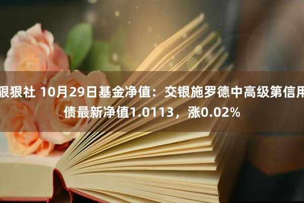 狠狠社 10月29日基金净值：交银施罗德中高级第信用债最新净值1.0113，涨0.02%