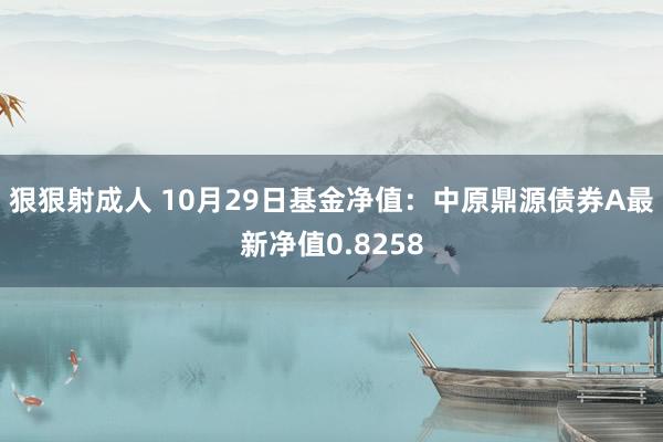 狠狠射成人 10月29日基金净值：中原鼎源债券A最新净值0.8258