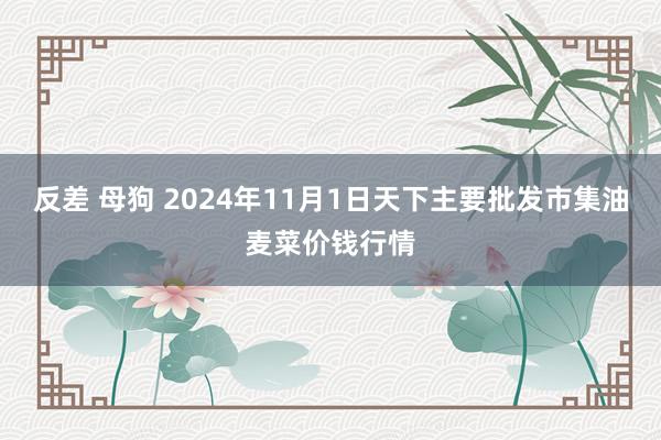 反差 母狗 2024年11月1日天下主要批发市集油麦菜价钱行情