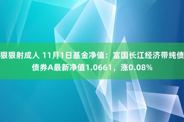 狠狠射成人 11月1日基金净值：富国长江经济带纯债债券A最新净值1.0661，涨0.08%