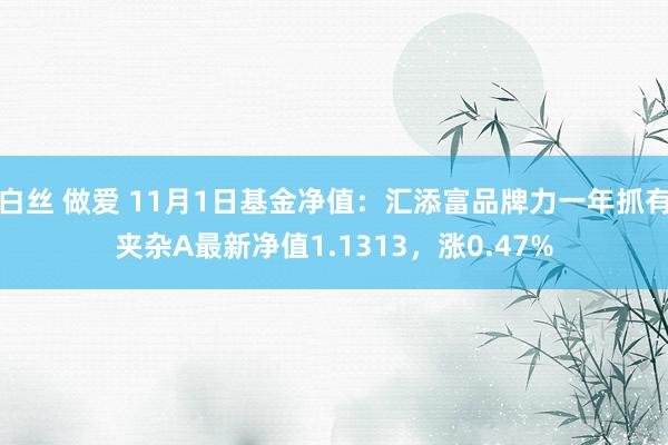 白丝 做爱 11月1日基金净值：汇添富品牌力一年抓有夹杂A最新净值1.1313，涨0.47%