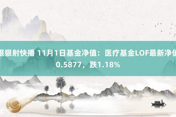 狠狠射快播 11月1日基金净值：医疗基金LOF最新净值0.5877，跌1.18%