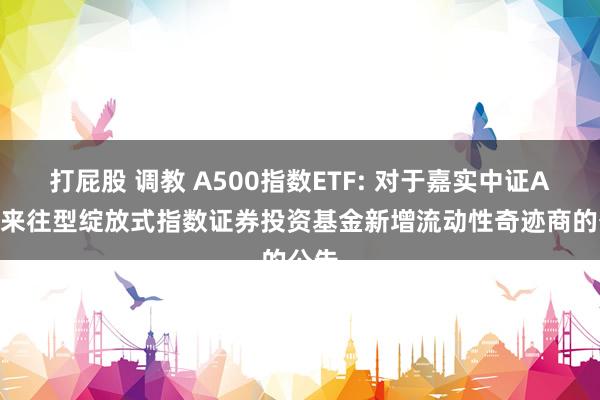 打屁股 调教 A500指数ETF: 对于嘉实中证A500来往型绽放式指数证券投资基金新增流动性奇迹商的公告