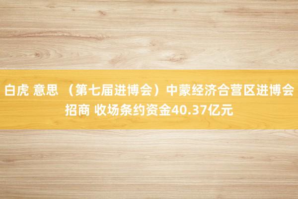 白虎 意思 （第七届进博会）中蒙经济合营区进博会招商 收场条