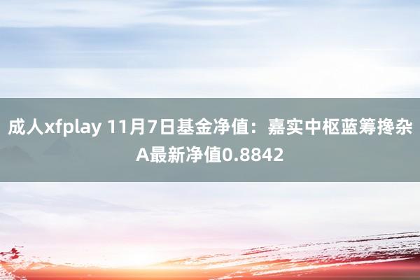 成人xfplay 11月7日基金净值：嘉实中枢蓝筹搀杂A最新