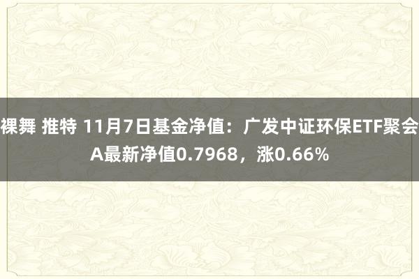 裸舞 推特 11月7日基金净值：广发中证环保ETF聚会A最新