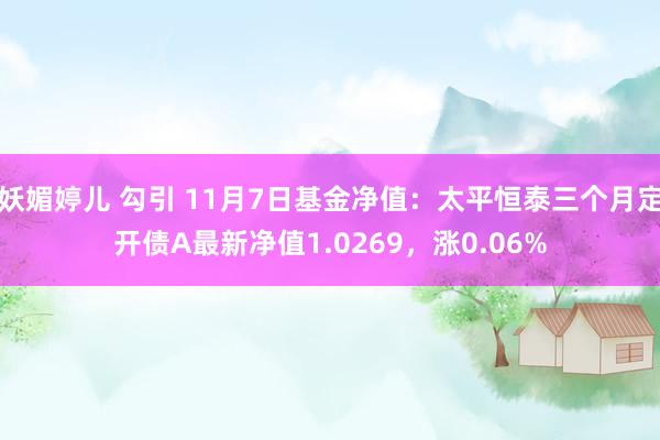 妖媚婷儿 勾引 11月7日基金净值：太平恒泰三个月定开债A最