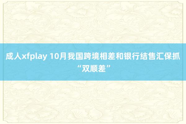 成人xfplay 10月我国跨境相差和银行结售汇保抓“双顺差”