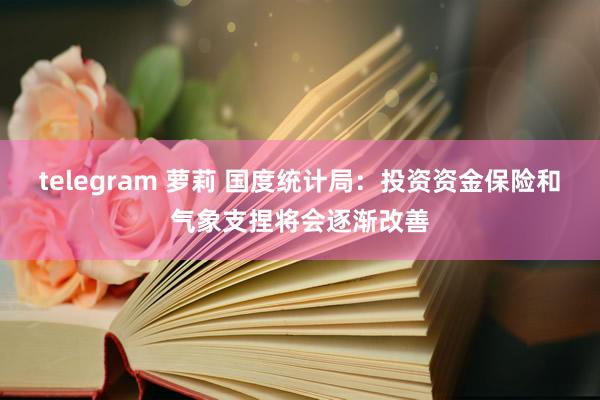 telegram 萝莉 国度统计局：投资资金保险和气象支捏将会逐渐改善