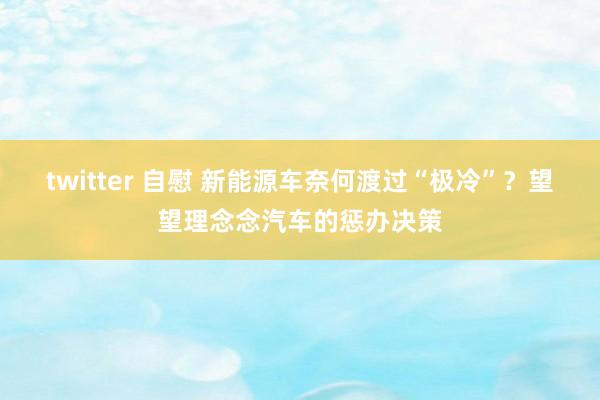 twitter 自慰 新能源车奈何渡过“极冷”？望望理念念汽车的惩办决策