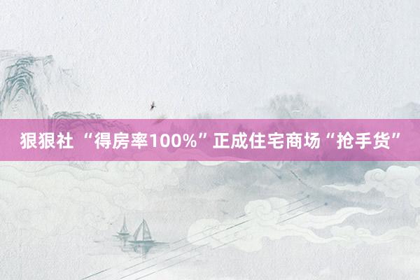 狠狠社 “得房率100%”正成住宅商场“抢手货”