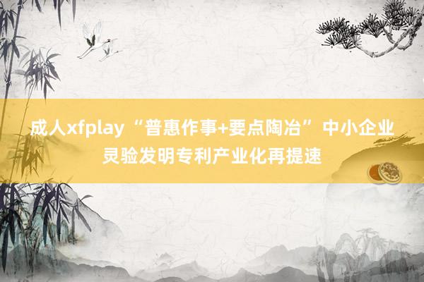 成人xfplay “普惠作事+要点陶冶” 中小企业灵验发明专利产业化再提速