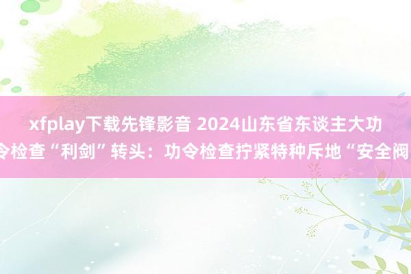 xfplay下载先锋影音 2024山东省东谈主大功令检查“利剑”转头：功令检查拧紧特种斥地“安全阀”