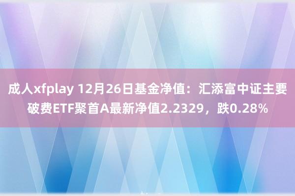 成人xfplay 12月26日基金净值：汇添富中证主要破费E