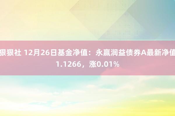 狠狠社 12月26日基金净值：永赢润益债券A最新净值1.12