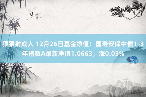 狠狠射成人 12月26日基金净值：国寿安保中债1-3年指数A