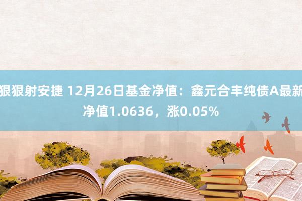 狠狠射安捷 12月26日基金净值：鑫元合丰纯债A最新净值1.